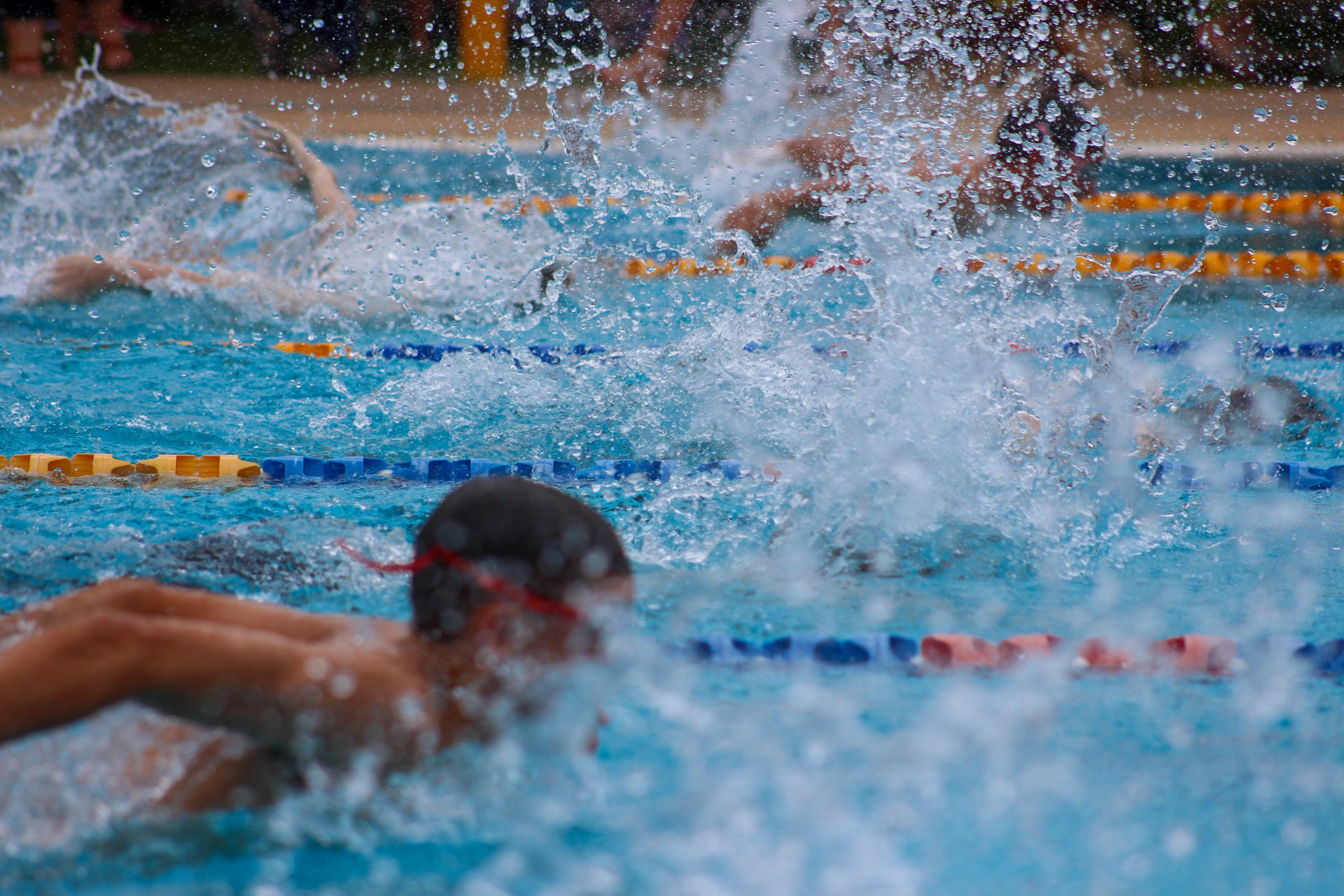curs intensiu de natació - esport