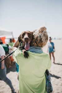 A l'aigua gossos! Primer campionat de Paddle Surf amb gossos al Club Nàutic el Masnou - 2021, campanya, clubs, Defensem la vela - campionat,gossos,dog,paddle dog