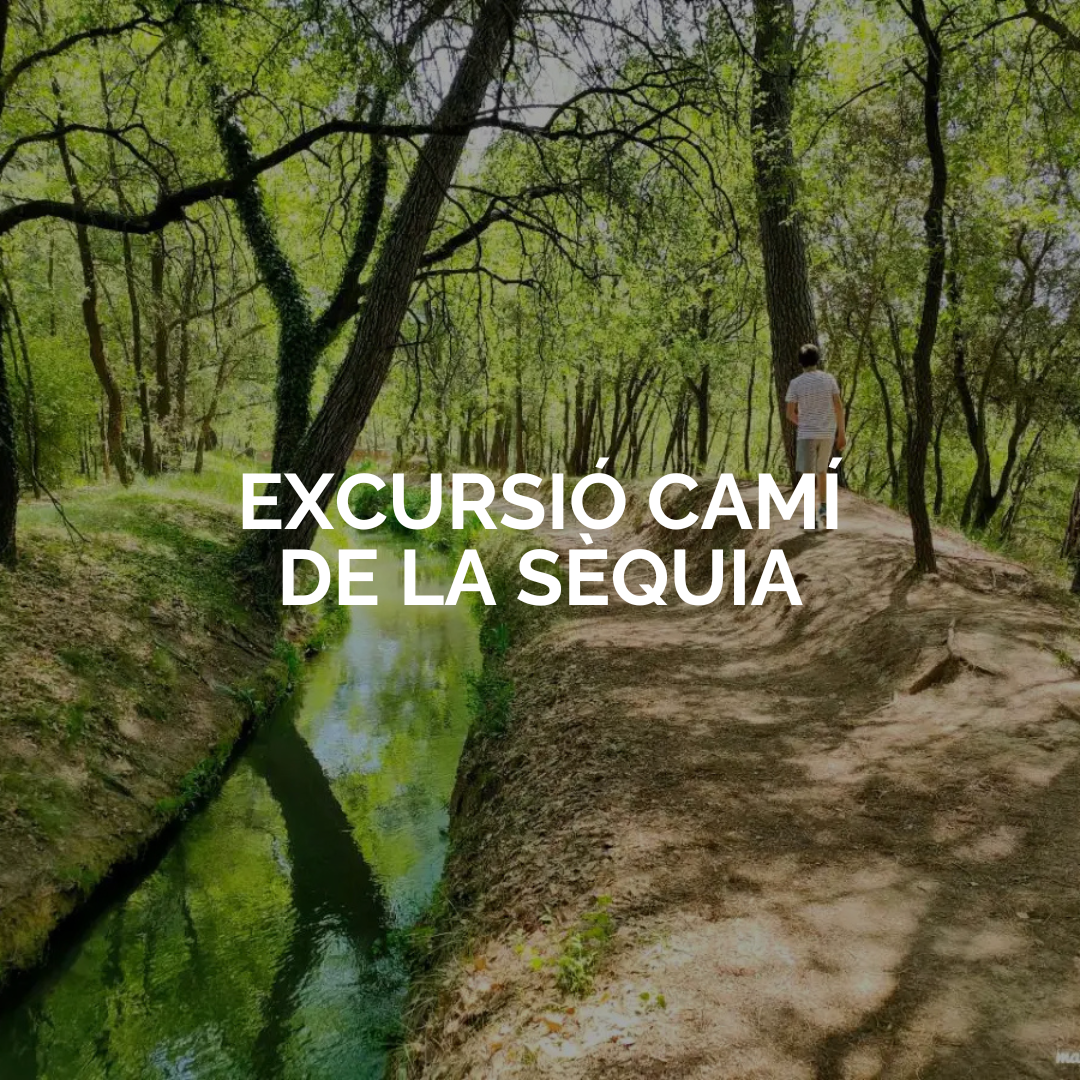 Excursió camí de la Sèquia - Monestir de Santes Creus