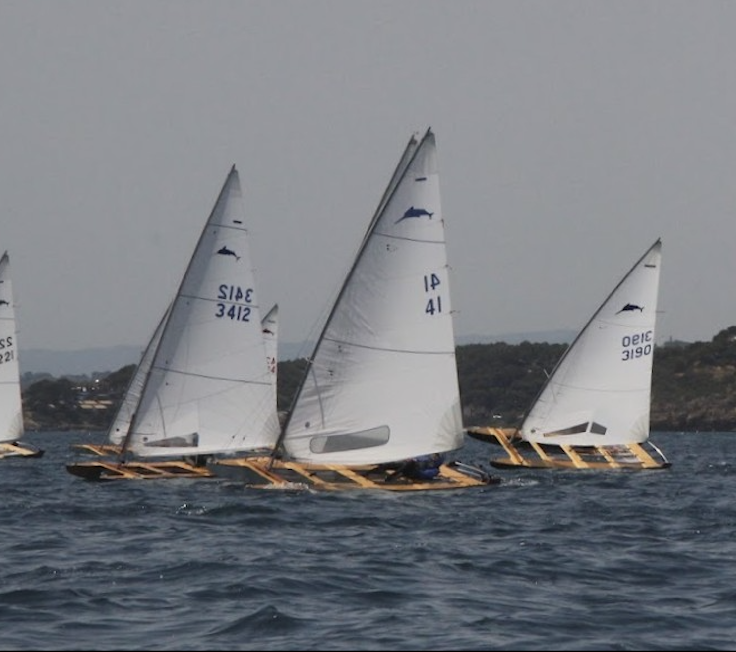 87é CAMPIONAT DE CATALUNYA DE PATI A VELA AL C.M. ALTAFULLA - 2025, Altafulla, Campionat de Catalunya, Pati a Vela - Setmana Nàutica d'Alacant