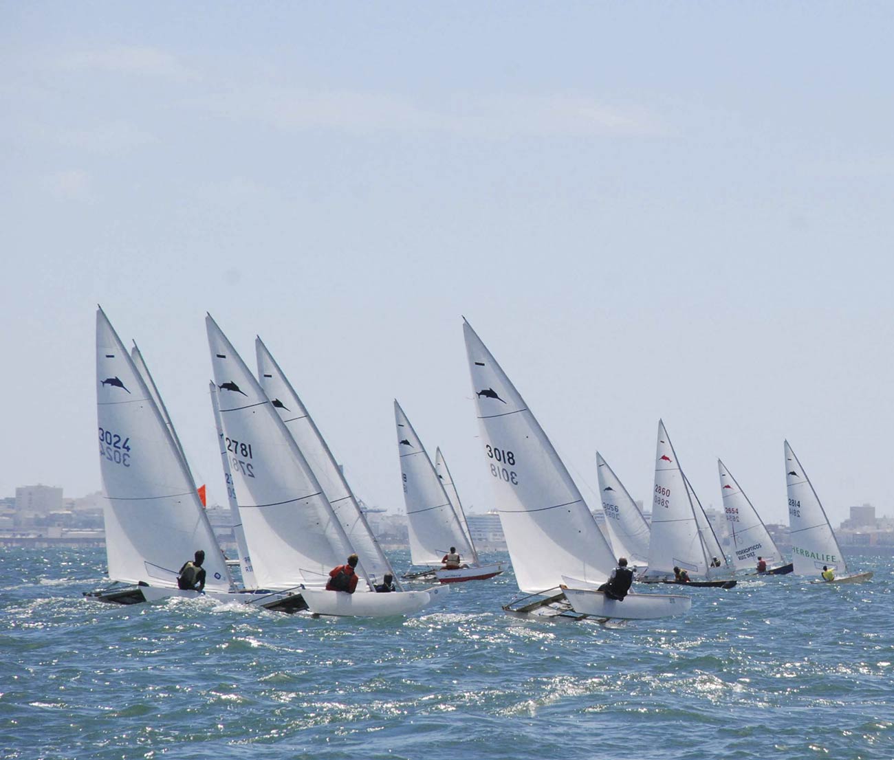El Club Nàutic El Masnou destaca al Gran Premi Badalona 2025 amb una gran representació i bons resultats - 2025, Badalona, GP Badalona, Pati a Vela - Setmana Nàutica d'Alacant