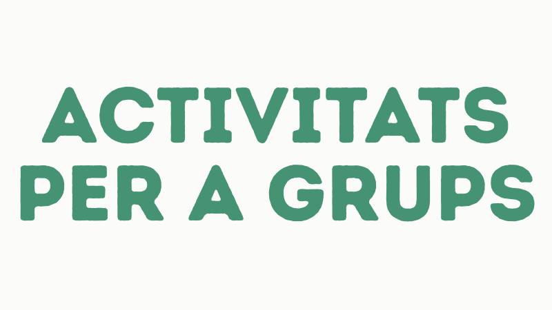 Campus de Vela Setmana Santa '26 -