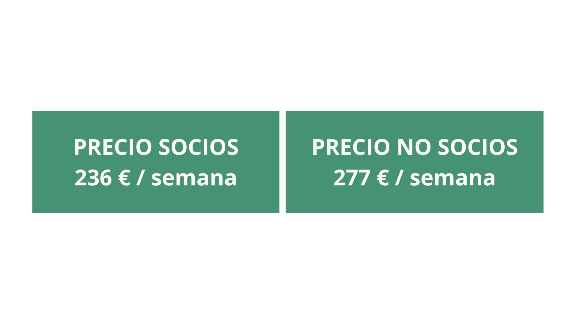 Campus de Vela 2026 -