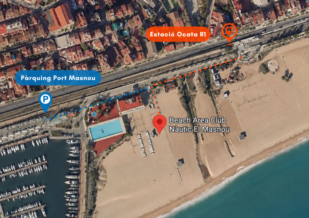 Beach Area - beach area